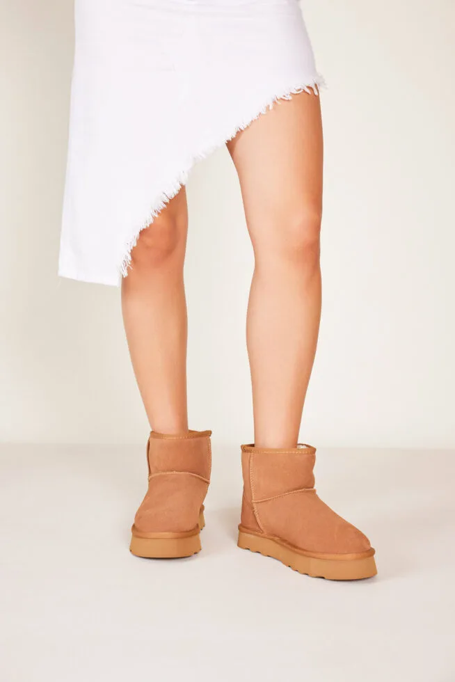 Sasha Camel (2)