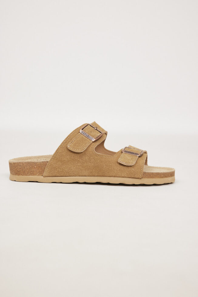 Joy Camel (15)