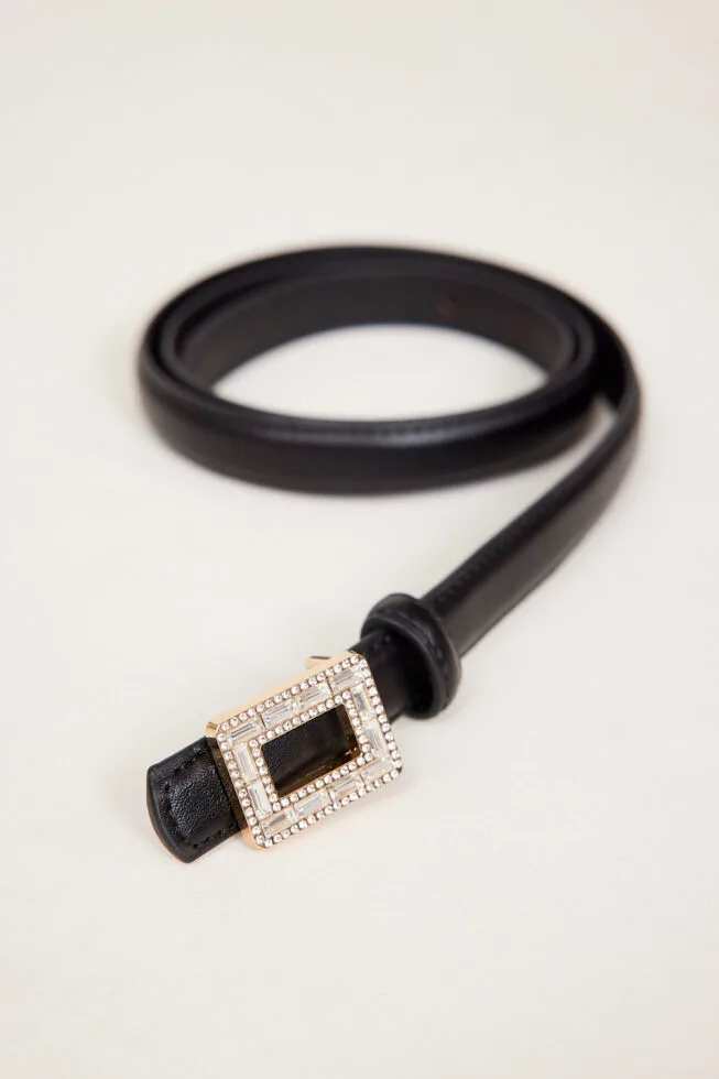 חגורת קיילי (2)