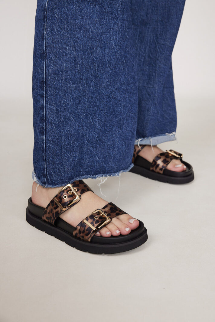 Mirit 2 Leopard (2)