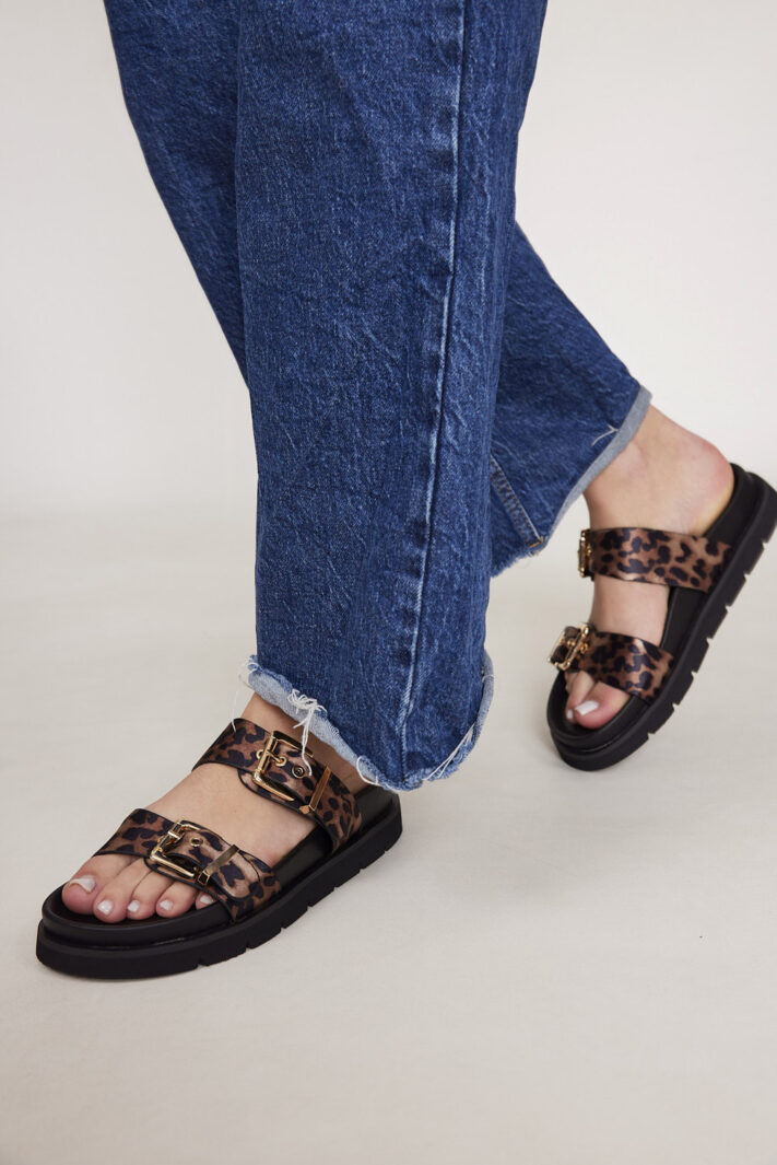 Mirit 2 Leopard (4)