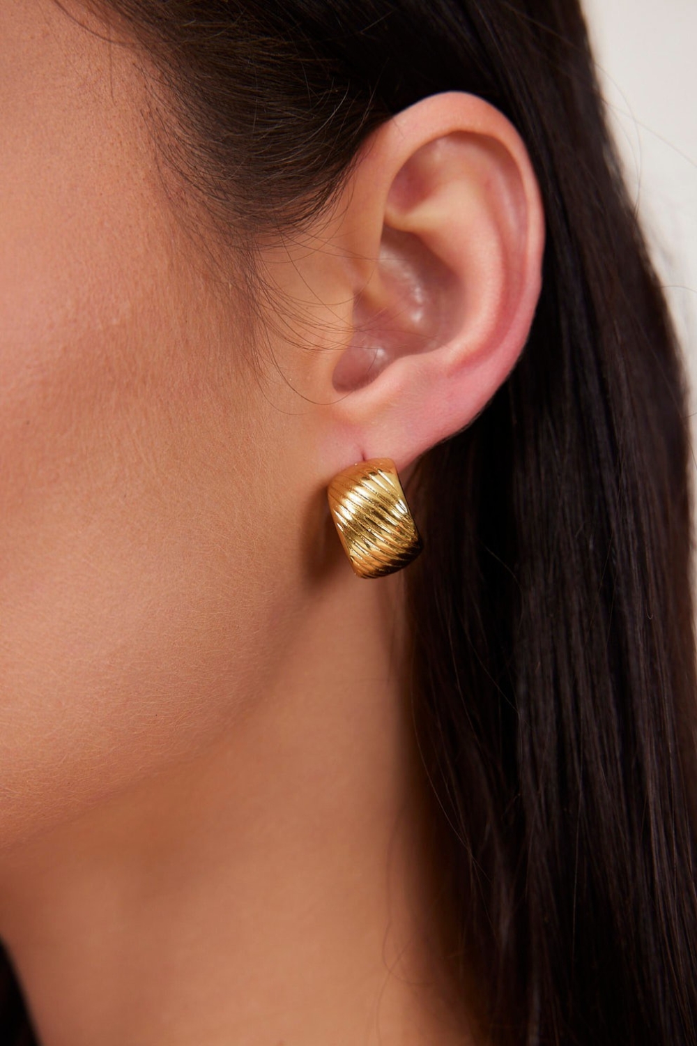 עגילי נועה (2)