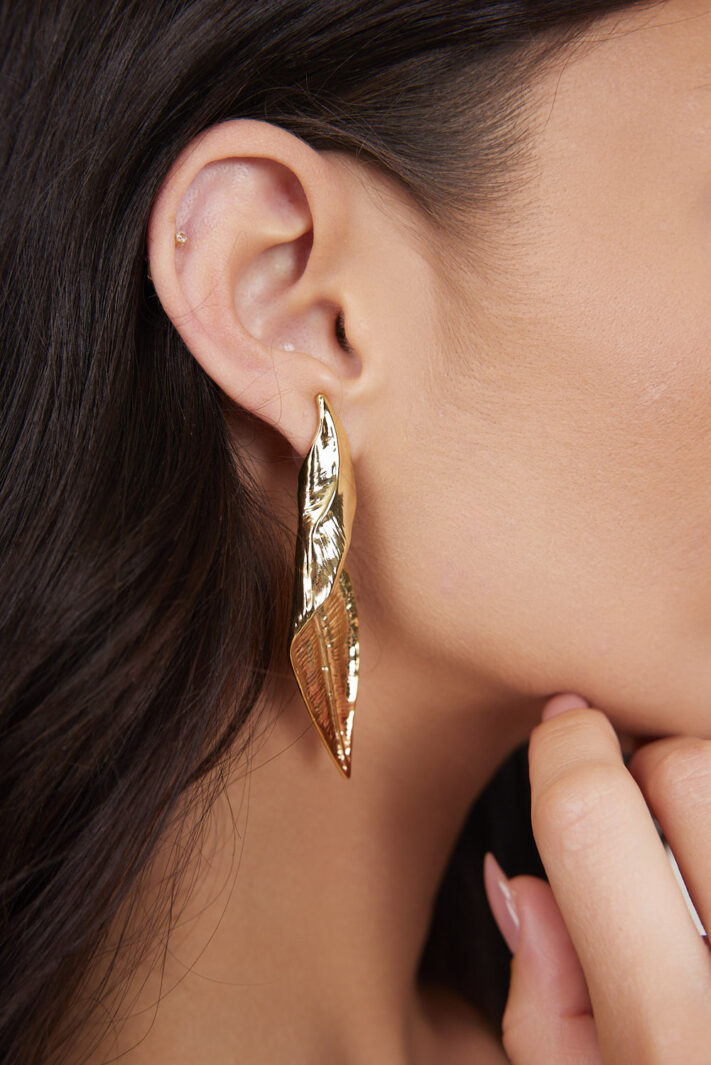 עגילי דפני (2)