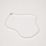 שרשרת ליב (2)