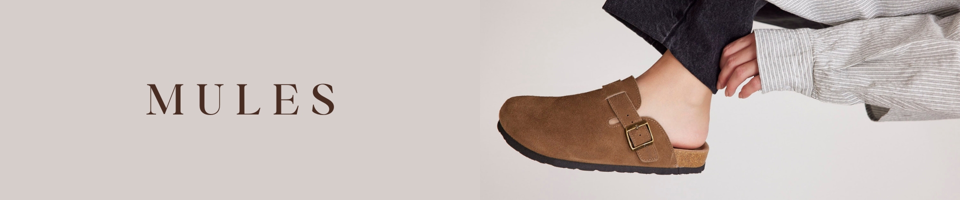 Mules Banner Pc