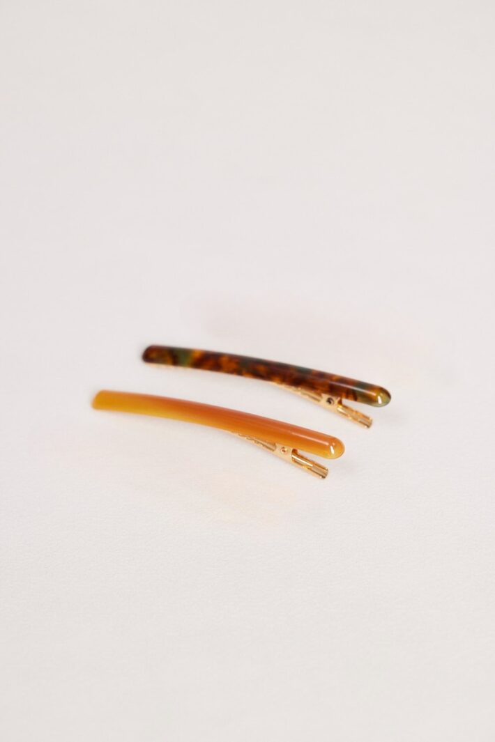 סיכת ראש אבישג (1)