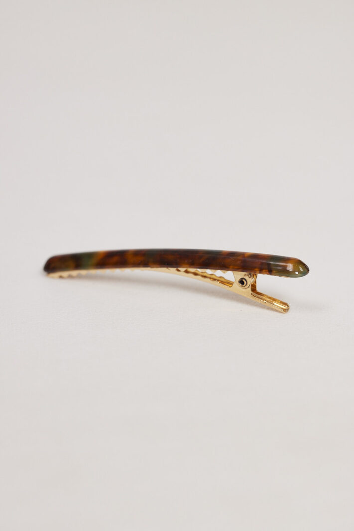 סיכת ראש אבישג (3)