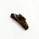 קליפס קורל מנומר