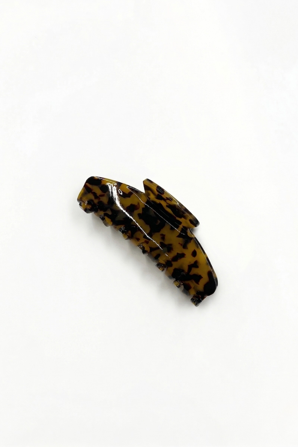 קליפס קורל מנומר