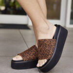 Martin Leopard