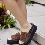 Martin Leopard (2)